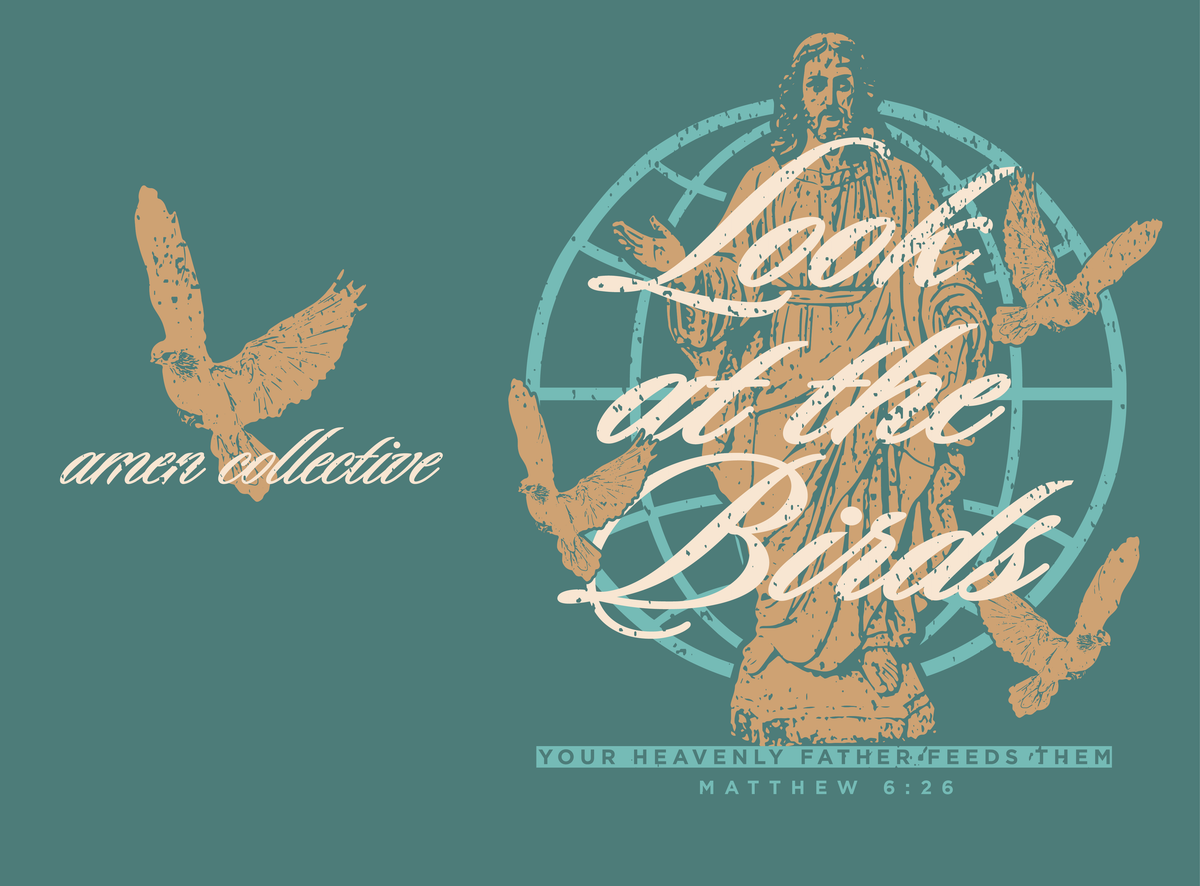 Matthew 6:26 Christian T-Shirt