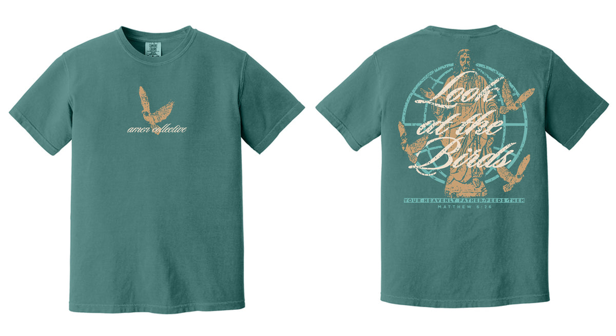 Matthew 6:26 Christian T-Shirt